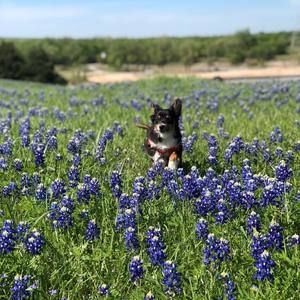 Meet your Posher, Edward